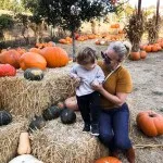 20 Toddler Friendly Fall Activities, Fall Family Activities, Have Need Want