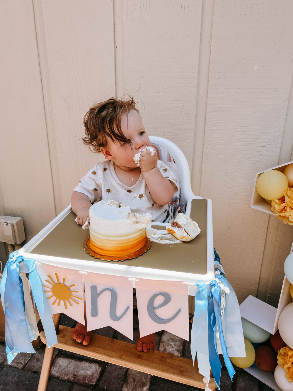 First Trip Around the Sun Birthday Party