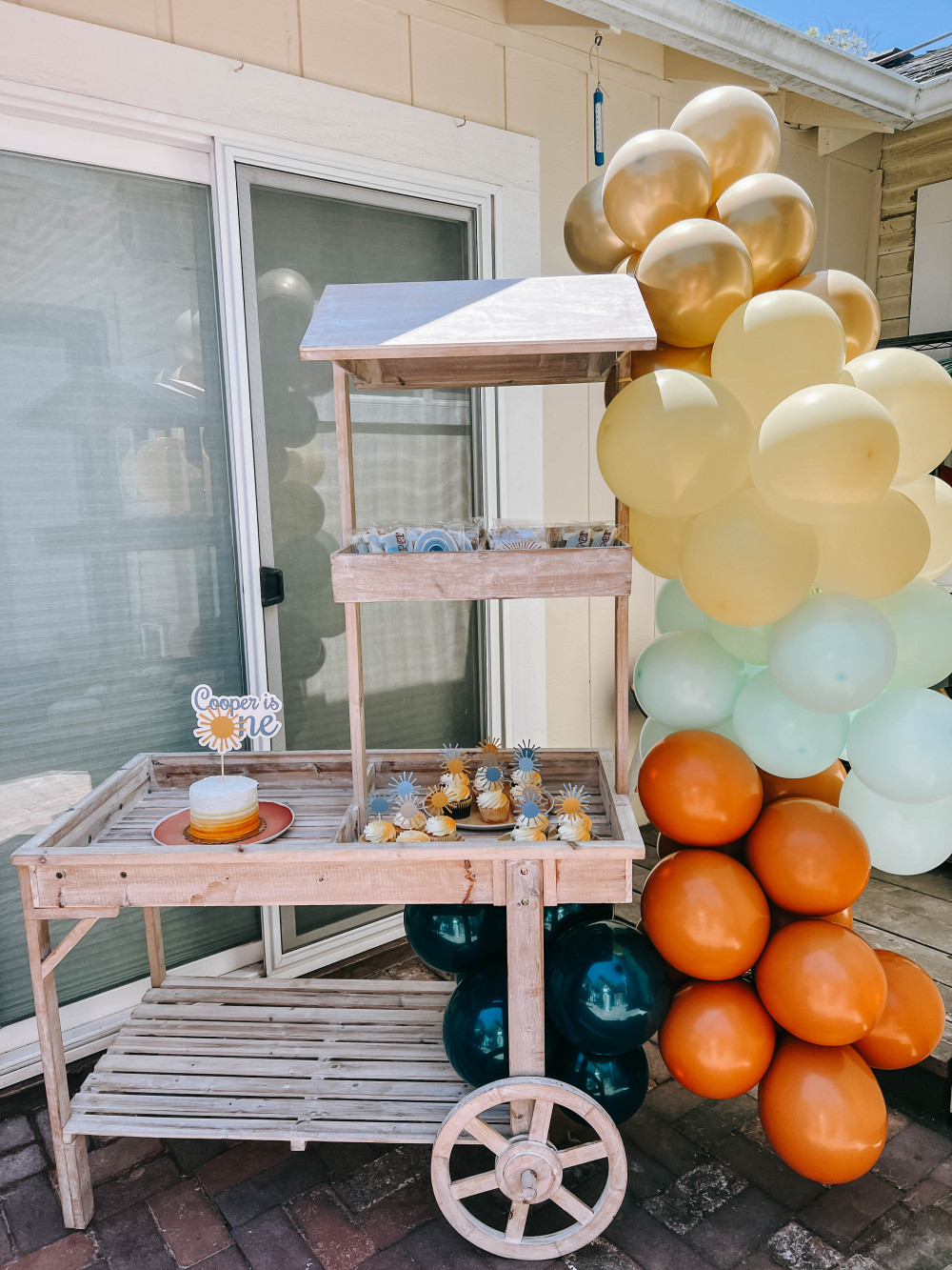 First Trip Around the Sun Birthday Party