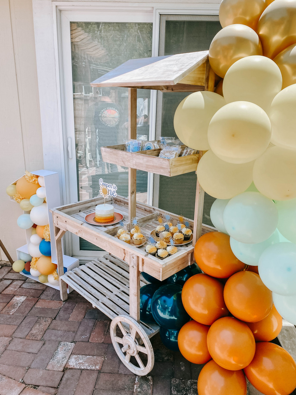First Trip Around the Sun Birthday Party