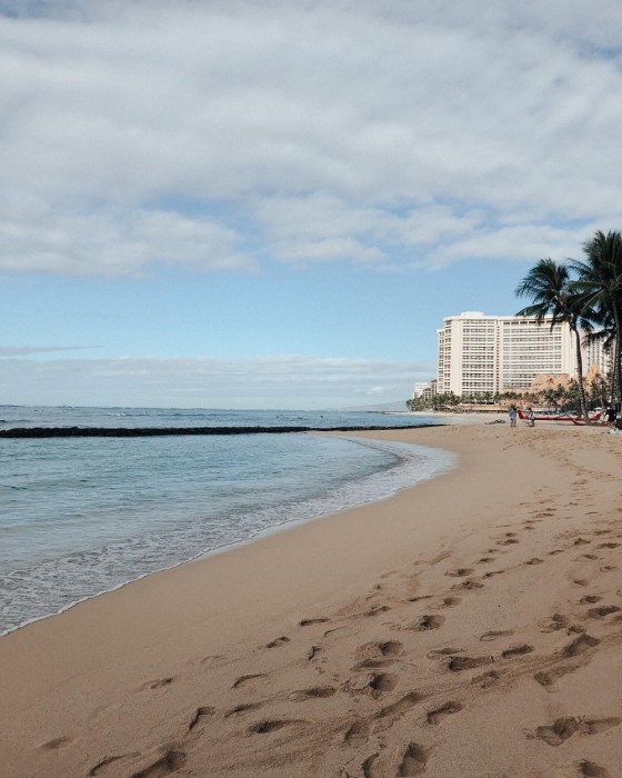 Traveling to Hawaii during covid? I'm sharing everything you need to know before you go! Head on over to the post to check it out! #travelingtips #covidtravel #visithawaii