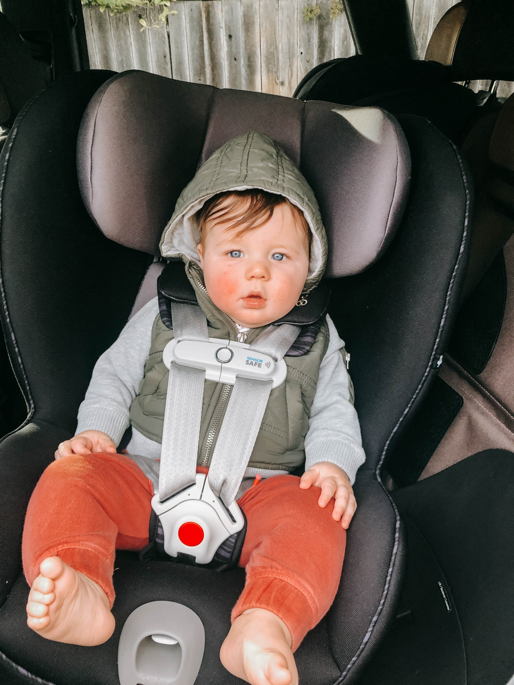 Cybex Sirona S and Cybex Gazelle Review
