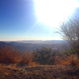  A down power line meant we took an even more scenic route home to work today. Literally we couldn't have picked a more windy road home! Loved all the gorgeous views around every turn!! Felt like we were on our way to a little getaway compared to a commute home. #california #windyroad #roadlesstraveled 