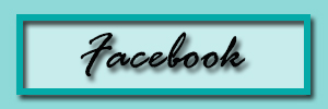 facebook button