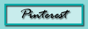 pinterest button